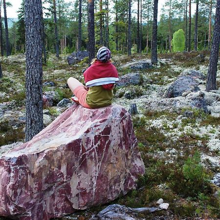 16 - Fulufjellets Nasjonalparker - Natur-, Dyre- Og Fugleopplevelser Ljørdal Dış mekan fotoğraf