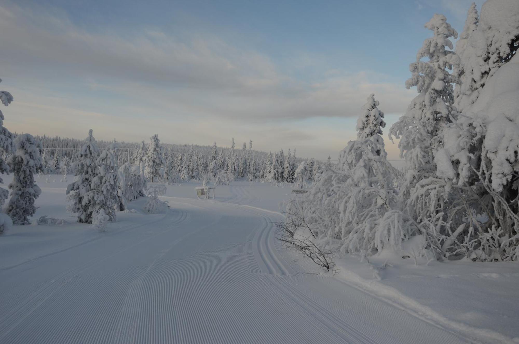 16 - Fulufjellets Nasjonalparker - Natur-, Dyre- Og Fugleopplevelser Ljørdal Dış mekan fotoğraf