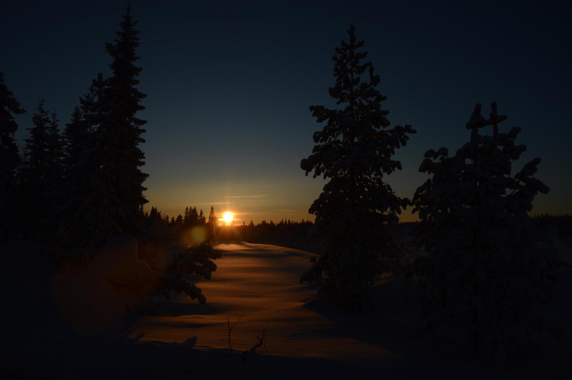 16 - Fulufjellets Nasjonalparker - Natur-, Dyre- Og Fugleopplevelser Ljørdal Dış mekan fotoğraf