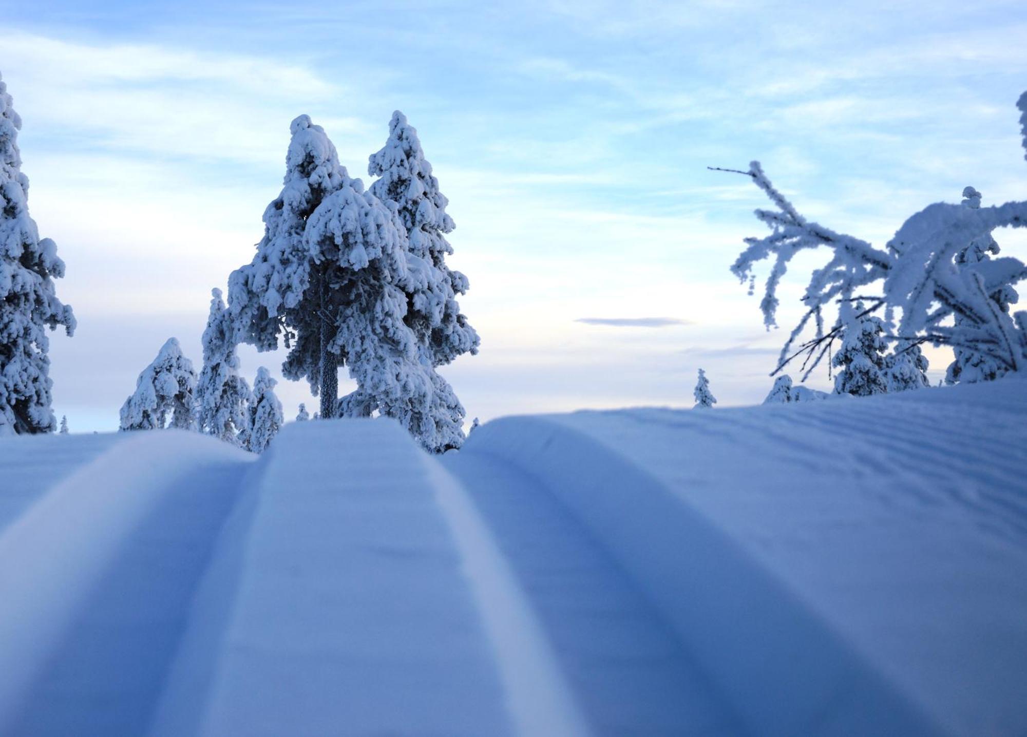 16 - Fulufjellets Nasjonalparker - Natur-, Dyre- Og Fugleopplevelser Ljørdal Dış mekan fotoğraf