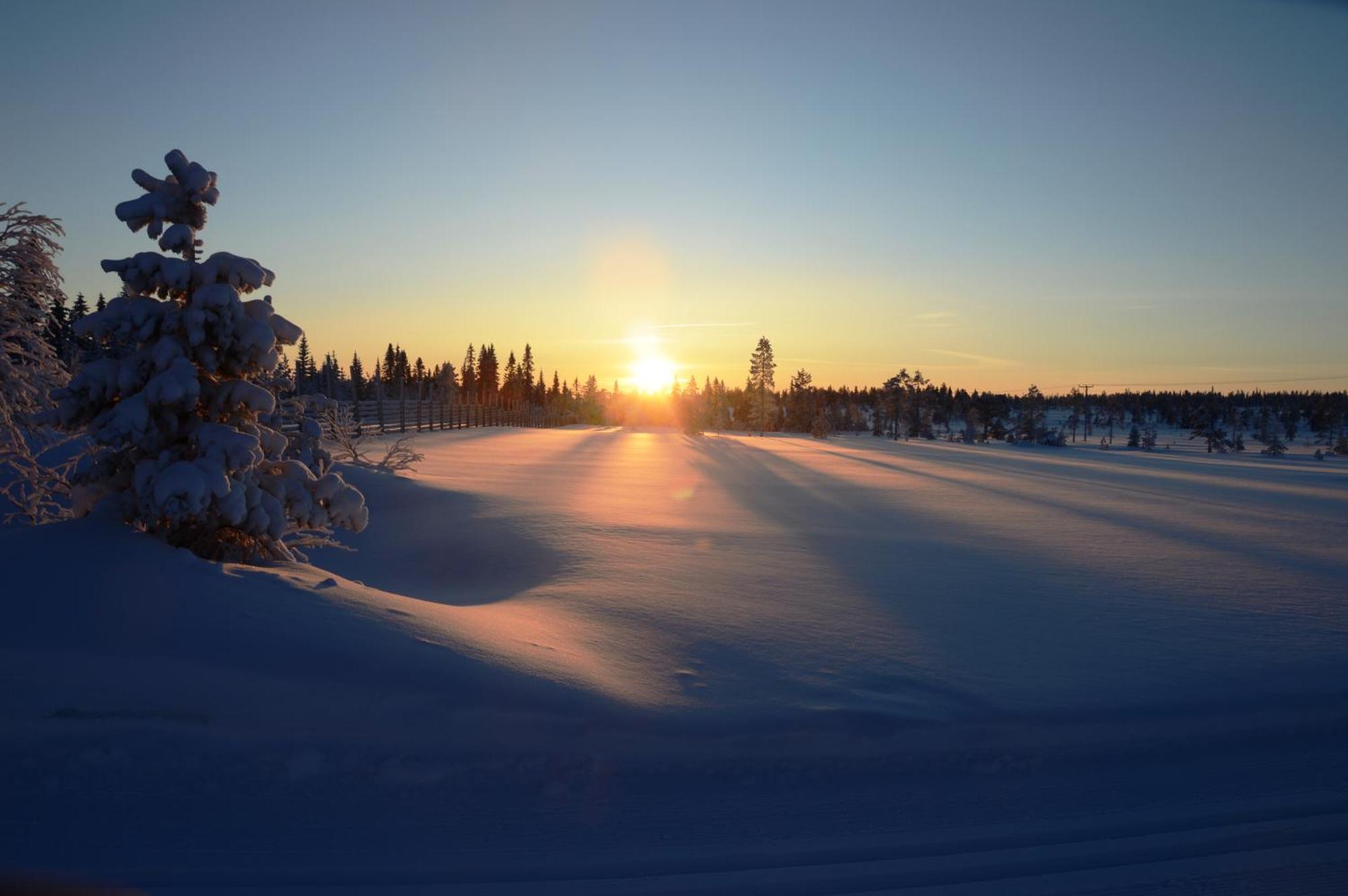 16 - Fulufjellets Nasjonalparker - Natur-, Dyre- Og Fugleopplevelser Ljørdal Dış mekan fotoğraf