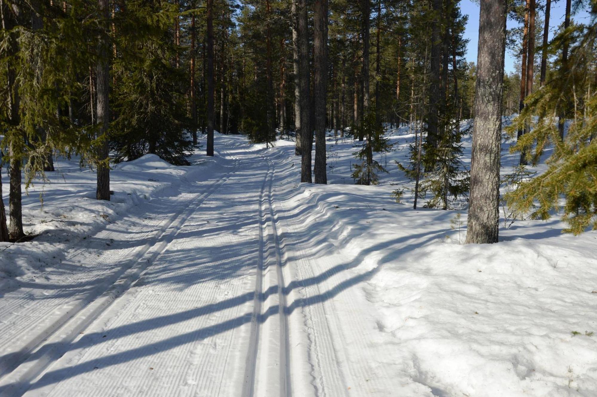 16 - Fulufjellets Nasjonalparker - Natur-, Dyre- Og Fugleopplevelser Ljørdal Dış mekan fotoğraf