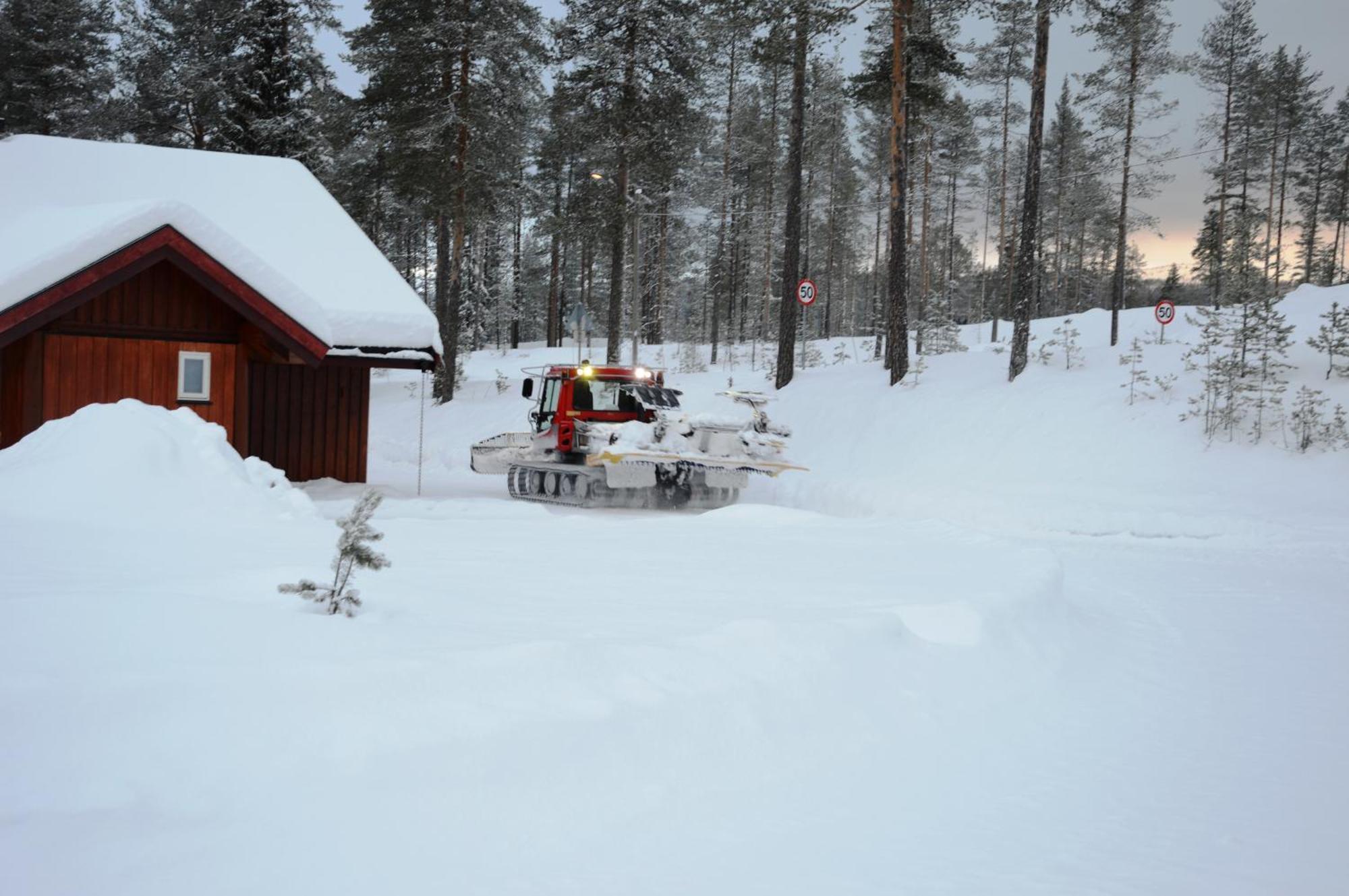 16 - Fulufjellets Nasjonalparker - Natur-, Dyre- Og Fugleopplevelser Ljørdal Dış mekan fotoğraf