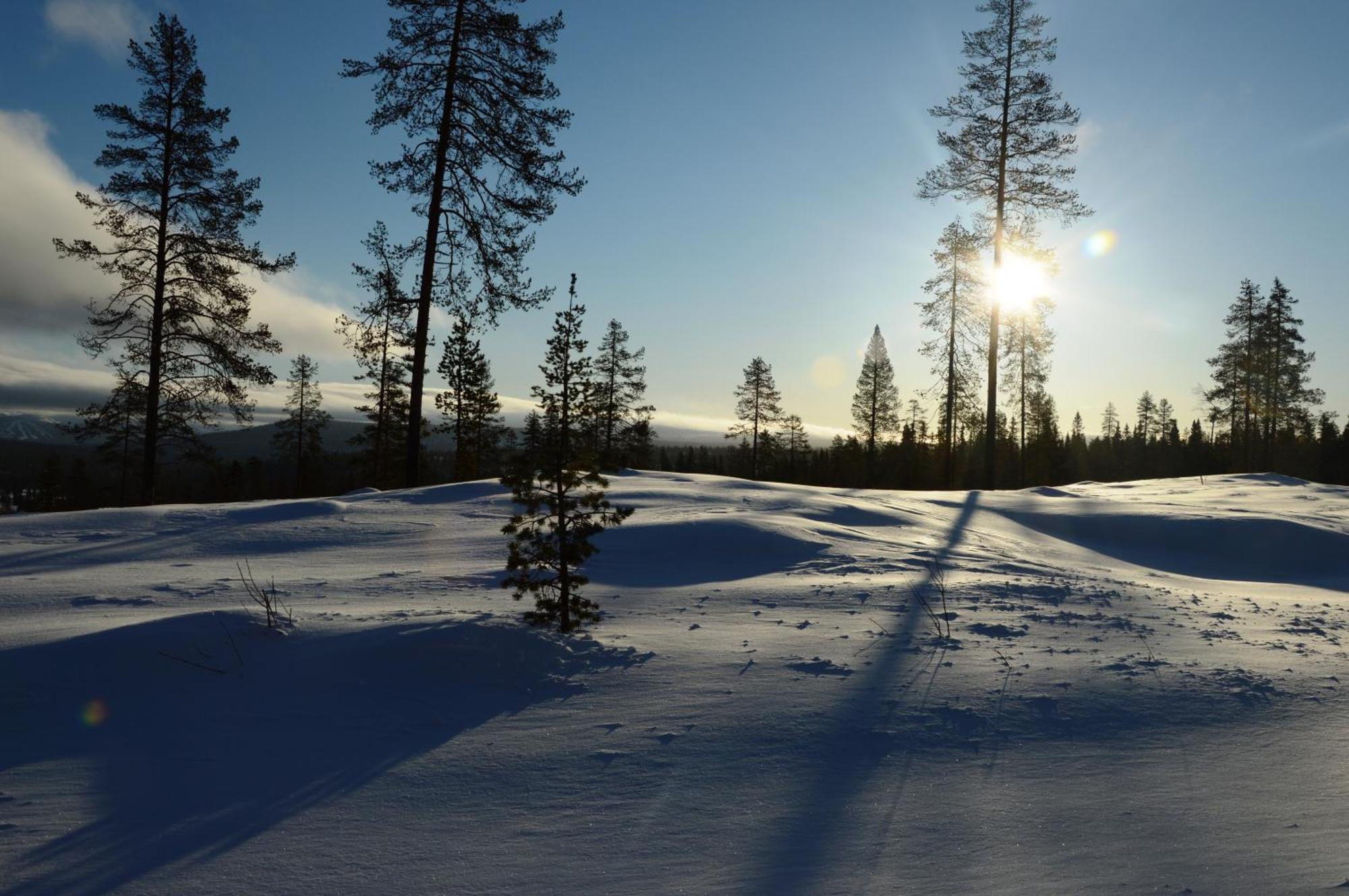 16 - Fulufjellets Nasjonalparker - Natur-, Dyre- Og Fugleopplevelser Ljørdal Dış mekan fotoğraf