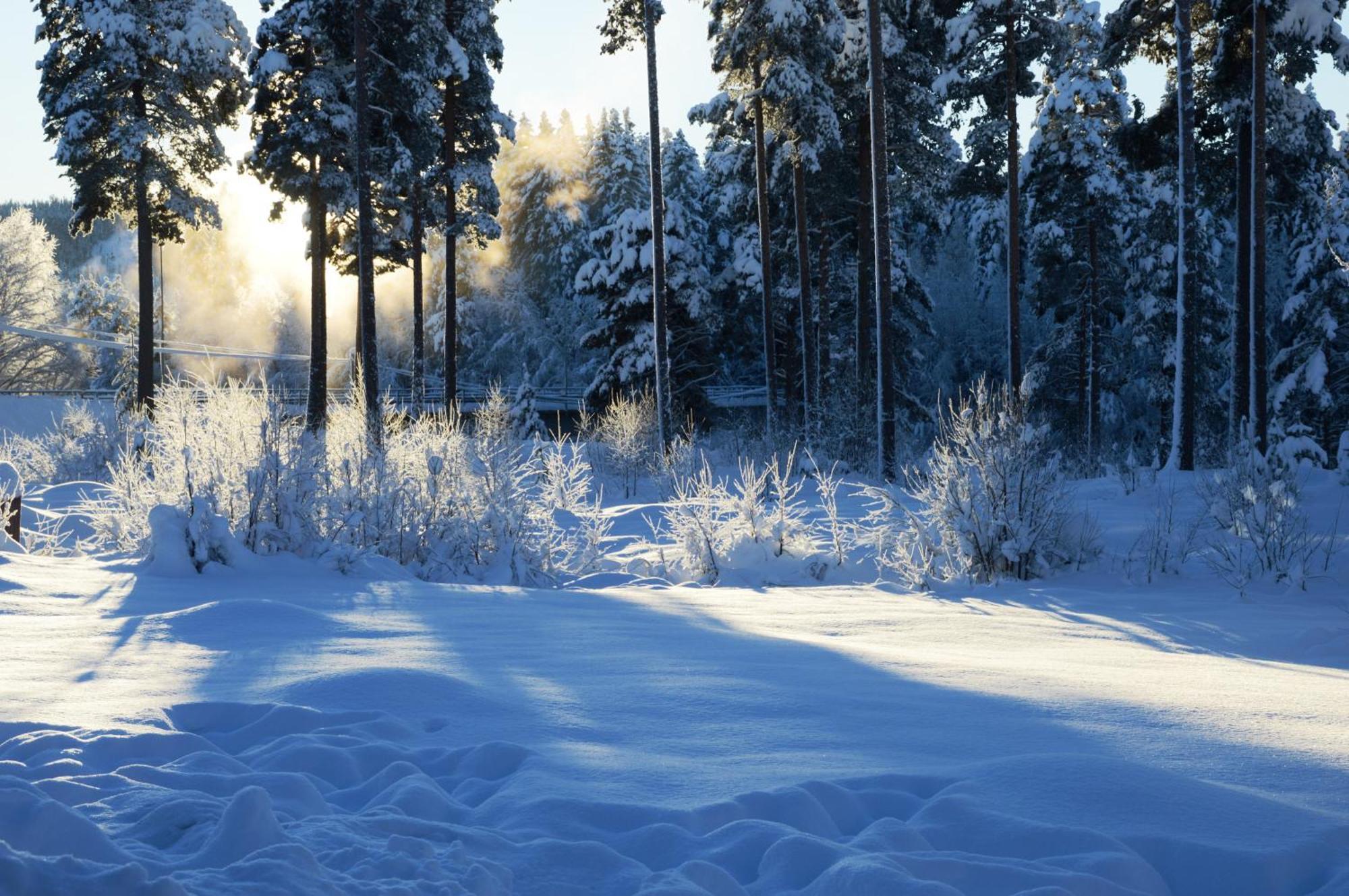 16 - Fulufjellets Nasjonalparker - Natur-, Dyre- Og Fugleopplevelser Ljørdal Dış mekan fotoğraf