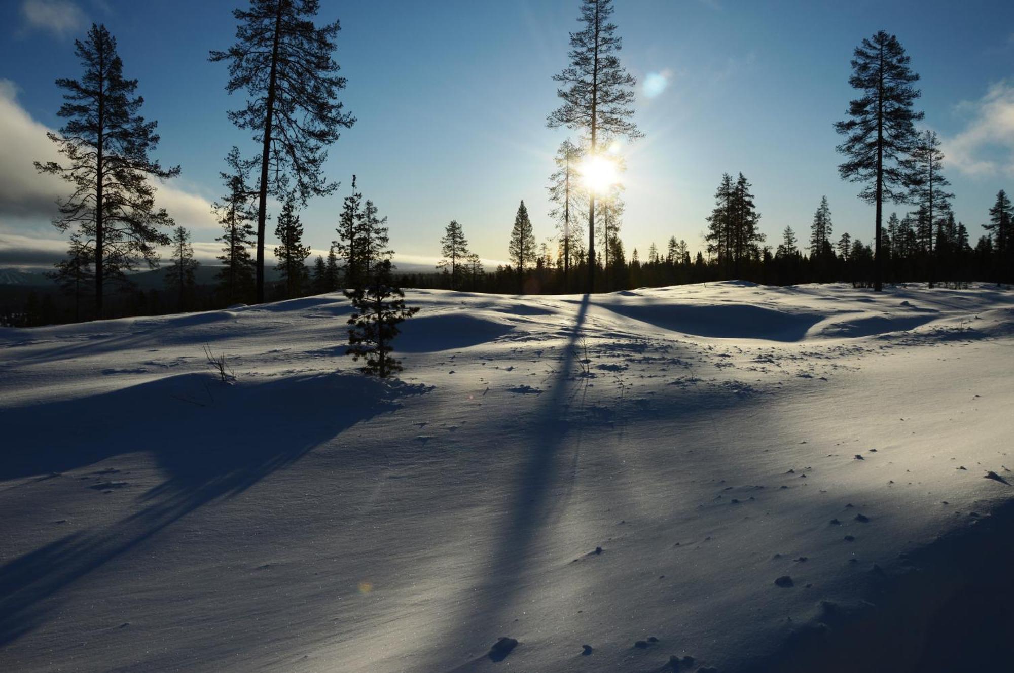 16 - Fulufjellets Nasjonalparker - Natur-, Dyre- Og Fugleopplevelser Ljørdal Dış mekan fotoğraf