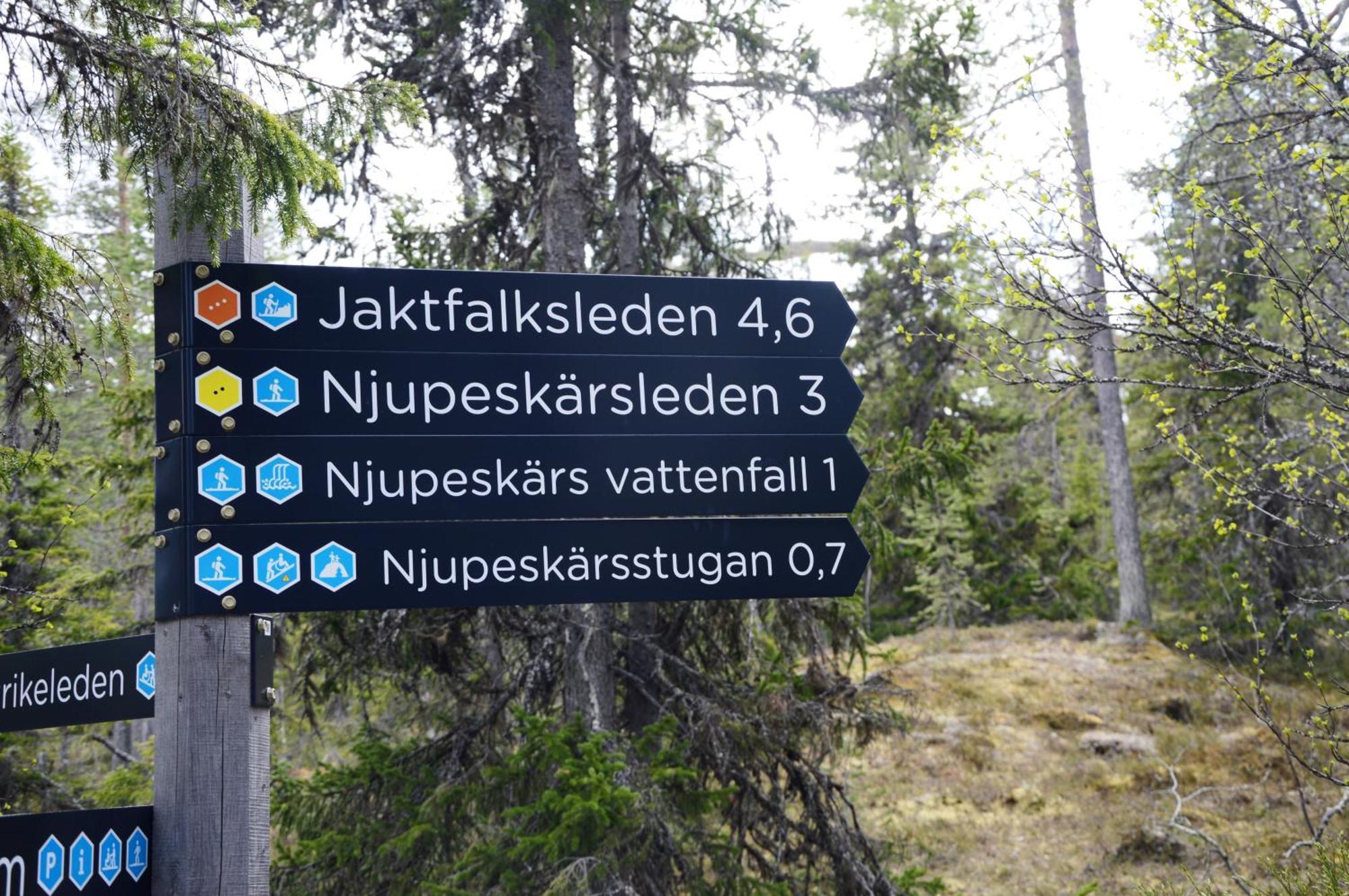16 - Fulufjellets Nasjonalparker - Natur-, Dyre- Og Fugleopplevelser Ljørdal Dış mekan fotoğraf