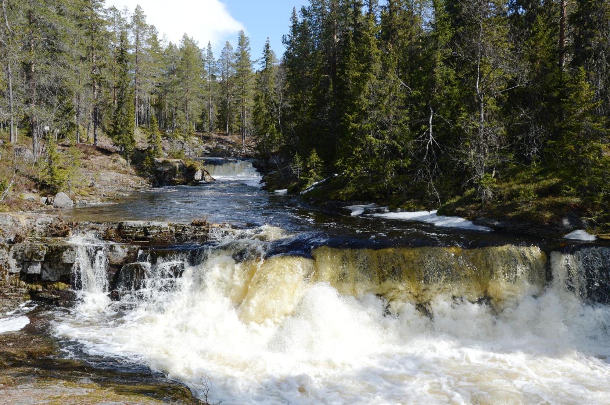 16 - Fulufjellets Nasjonalparker - Natur-, Dyre- Og Fugleopplevelser Ljørdal Dış mekan fotoğraf