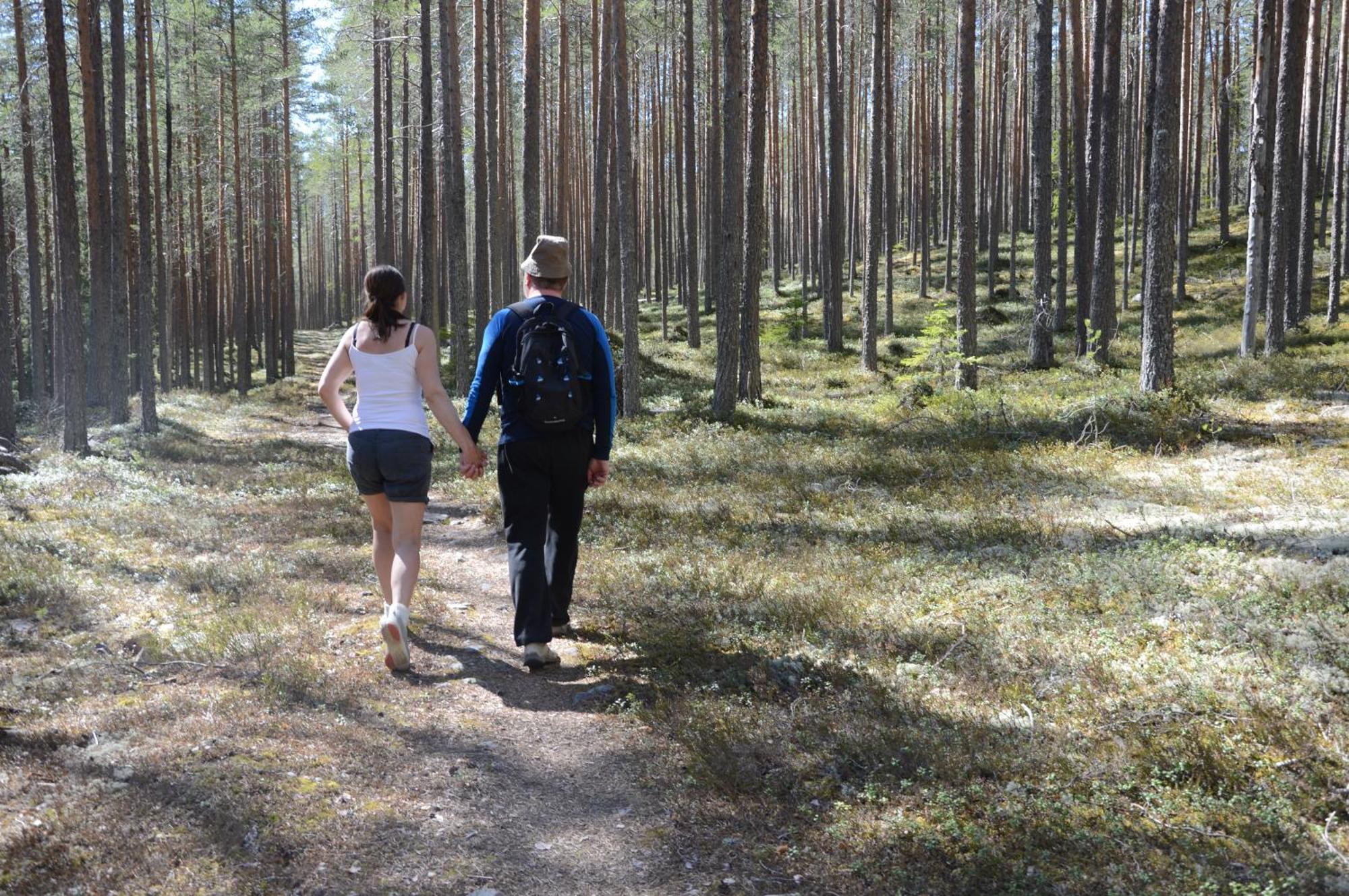 16 - Fulufjellets Nasjonalparker - Natur-, Dyre- Og Fugleopplevelser Ljørdal Dış mekan fotoğraf