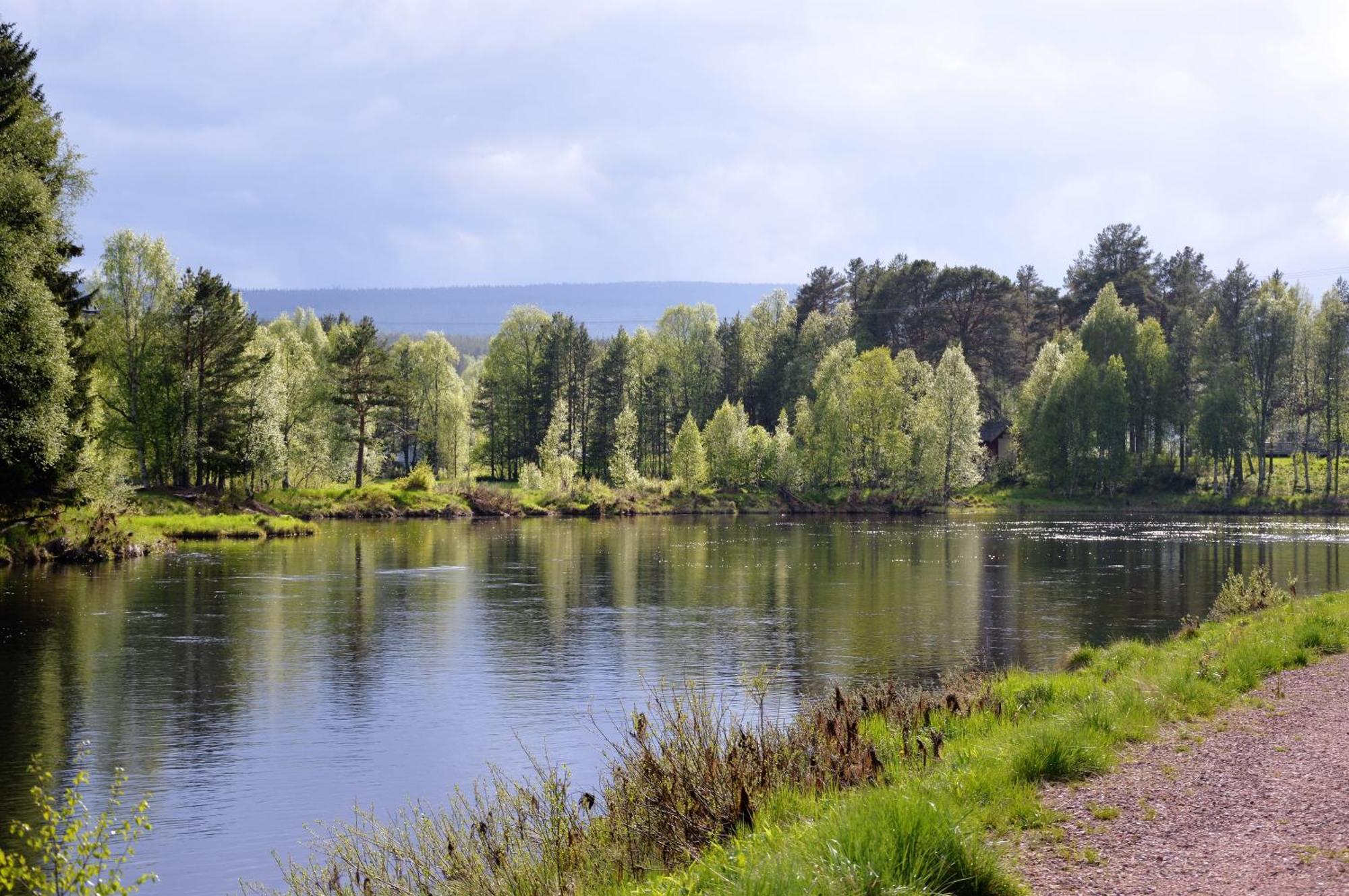 16 - Fulufjellets Nasjonalparker - Natur-, Dyre- Og Fugleopplevelser Ljørdal Dış mekan fotoğraf