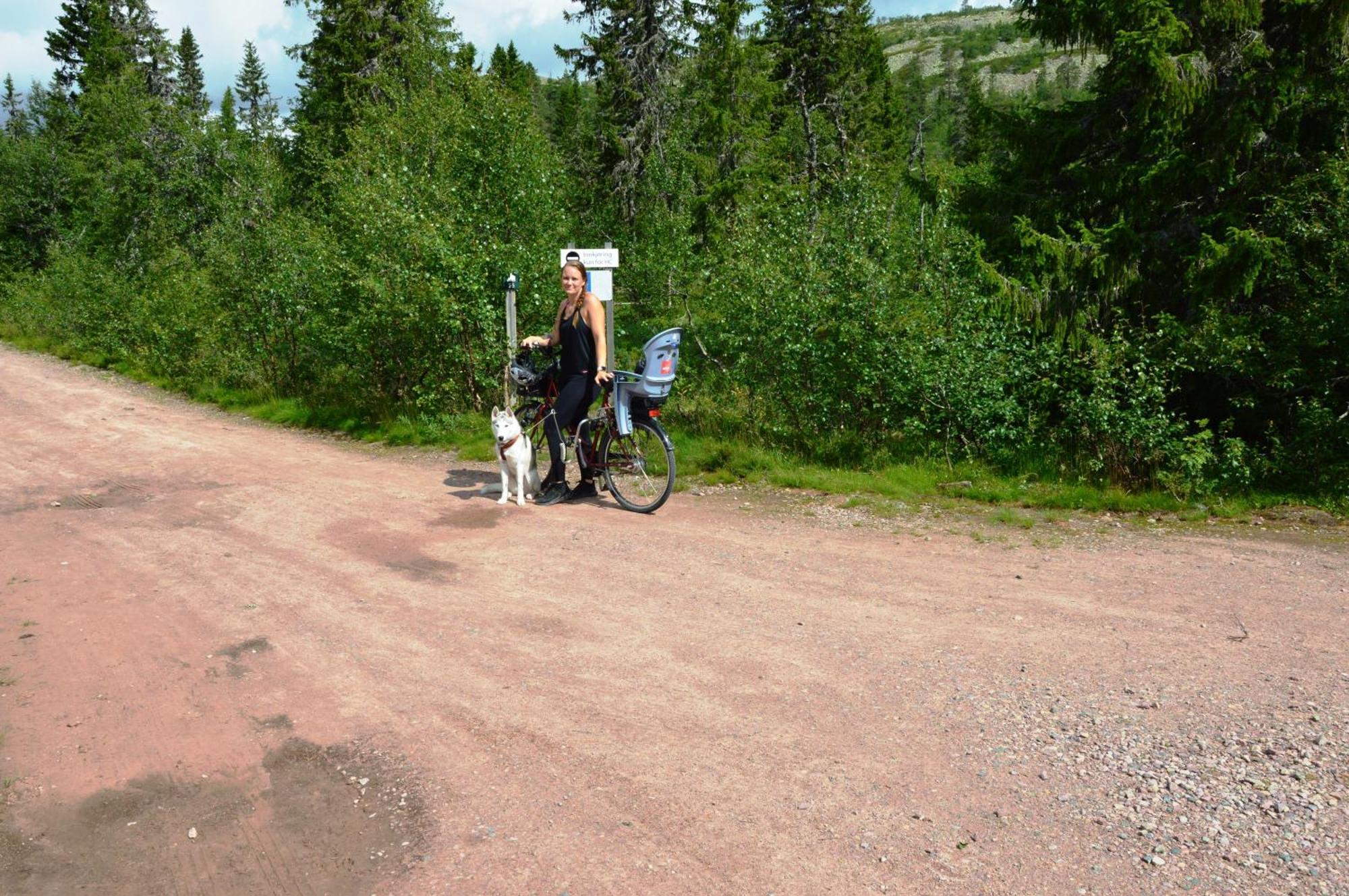 16 - Fulufjellets Nasjonalparker - Natur-, Dyre- Og Fugleopplevelser Ljørdal Dış mekan fotoğraf