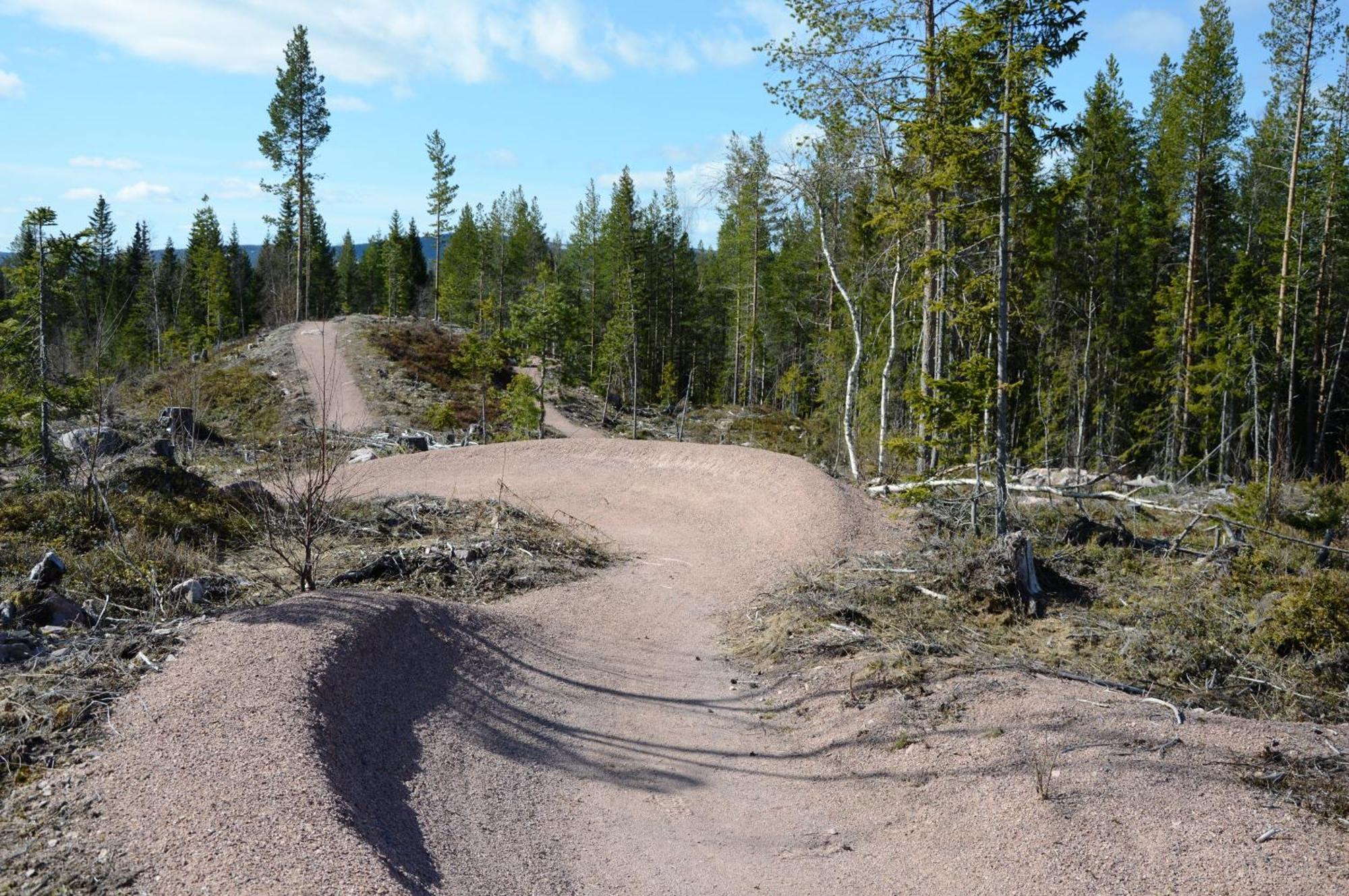 16 - Fulufjellets Nasjonalparker - Natur-, Dyre- Og Fugleopplevelser Ljørdal Dış mekan fotoğraf