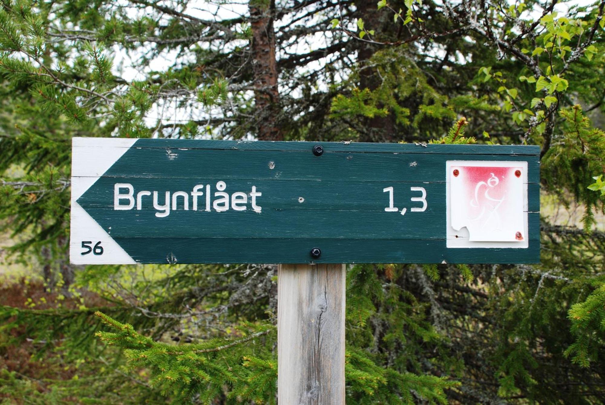 16 - Fulufjellets Nasjonalparker - Natur-, Dyre- Og Fugleopplevelser Ljørdal Dış mekan fotoğraf