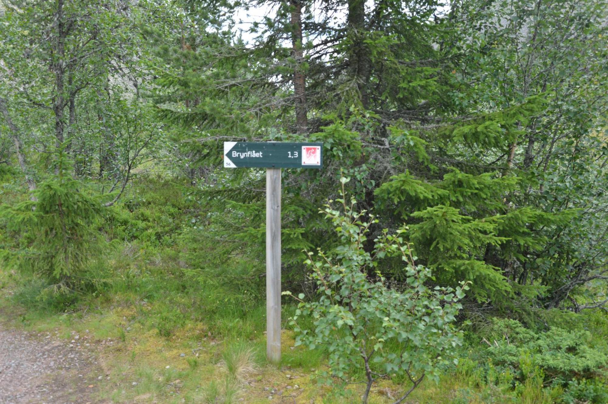 16 - Fulufjellets Nasjonalparker - Natur-, Dyre- Og Fugleopplevelser Ljørdal Dış mekan fotoğraf