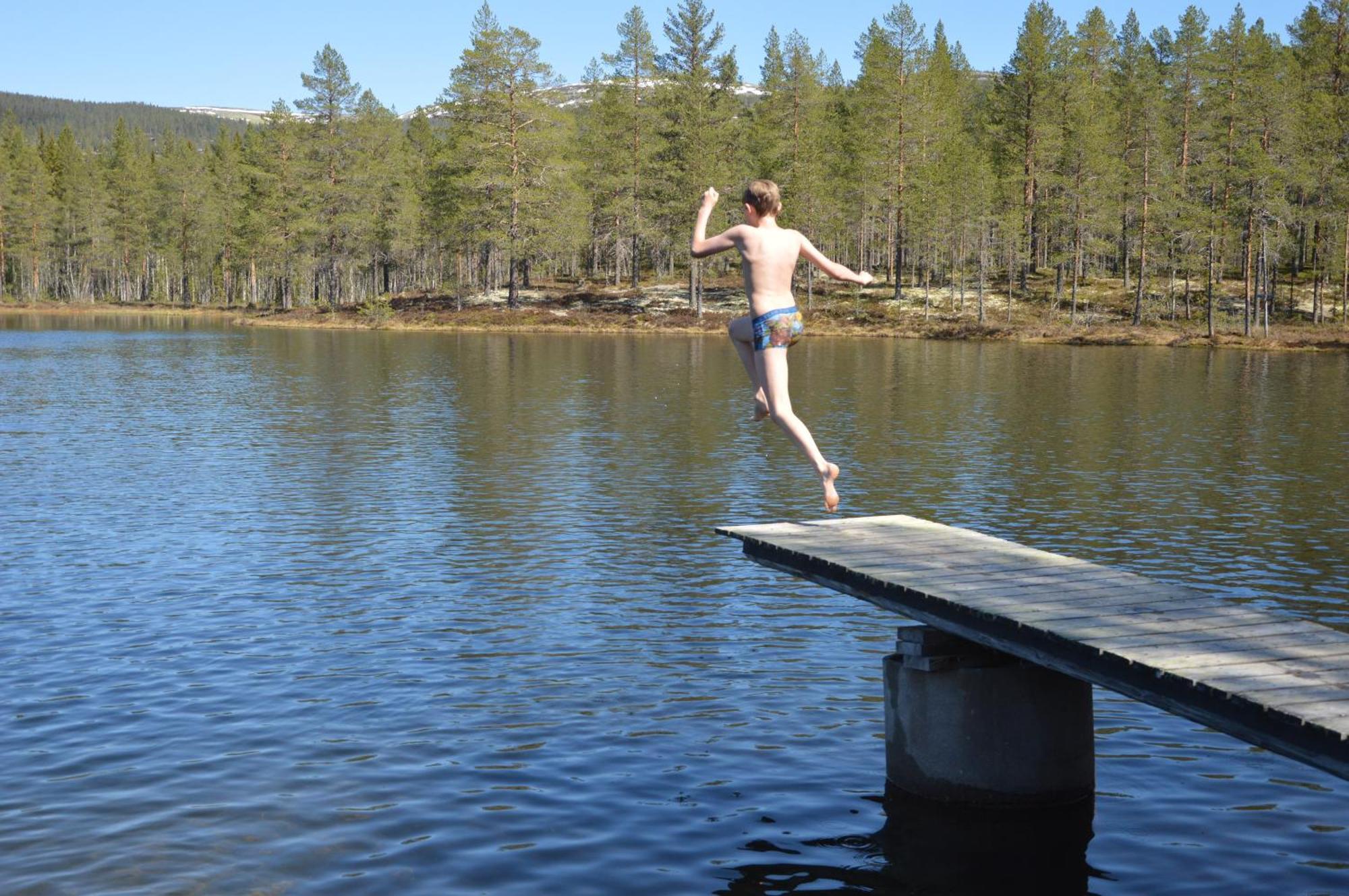 16 - Fulufjellets Nasjonalparker - Natur-, Dyre- Og Fugleopplevelser Ljørdal Dış mekan fotoğraf