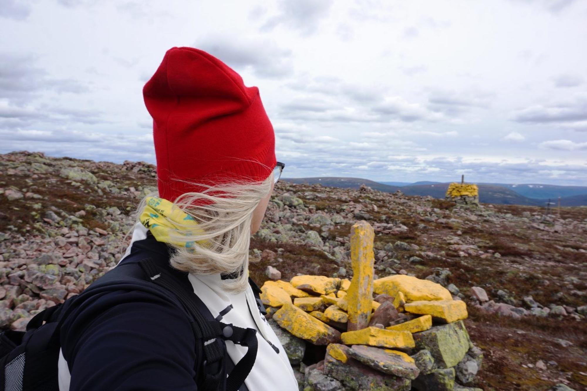 16 - Fulufjellets Nasjonalparker - Natur-, Dyre- Og Fugleopplevelser Ljørdal Dış mekan fotoğraf