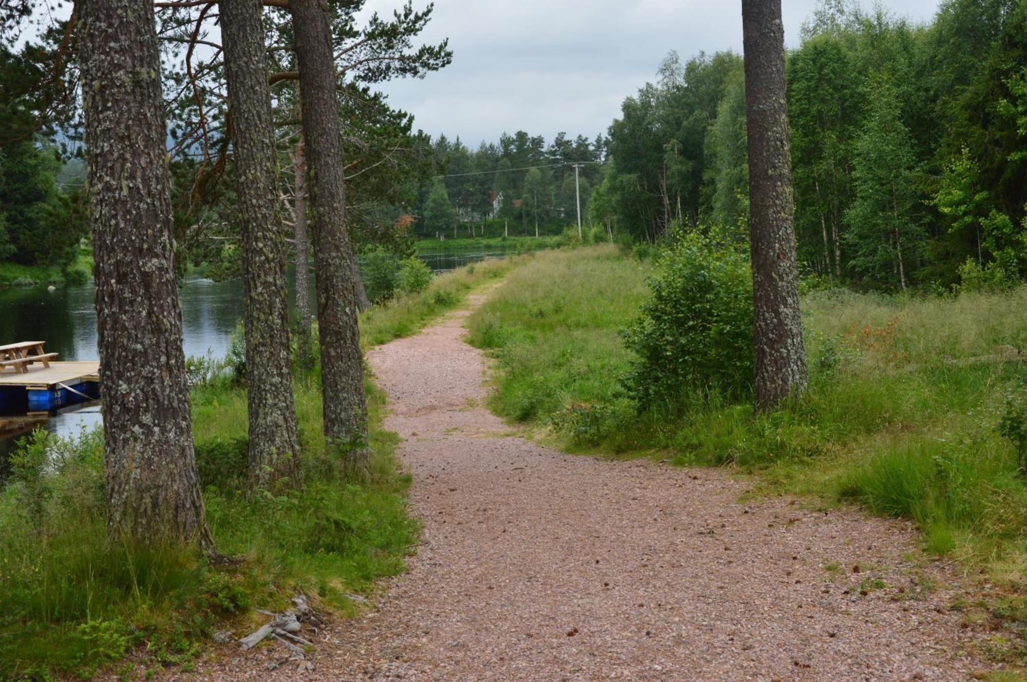 16 - Fulufjellets Nasjonalparker - Natur-, Dyre- Og Fugleopplevelser Ljørdal Dış mekan fotoğraf