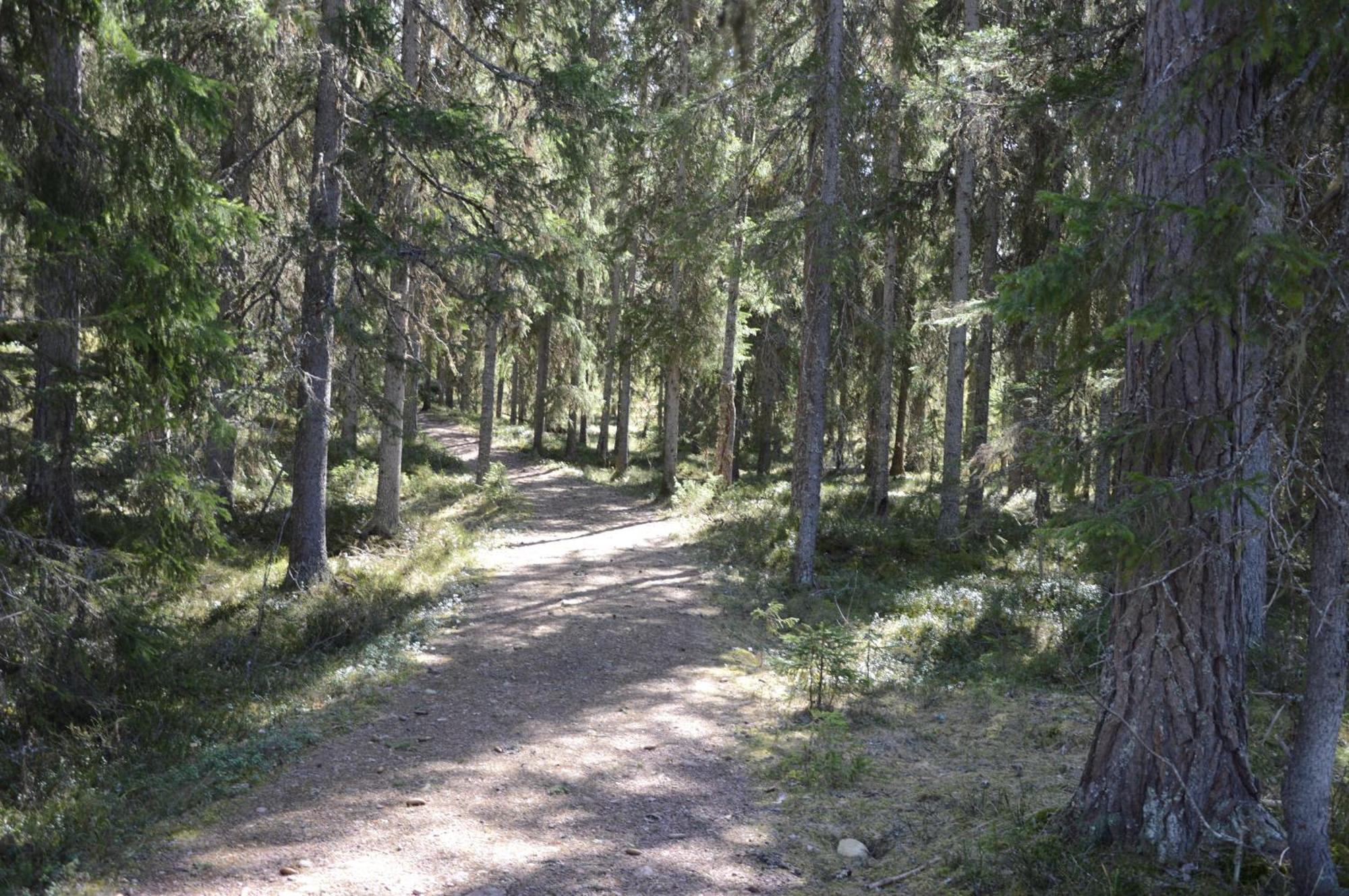 16 - Fulufjellets Nasjonalparker - Natur-, Dyre- Og Fugleopplevelser Ljørdal Dış mekan fotoğraf