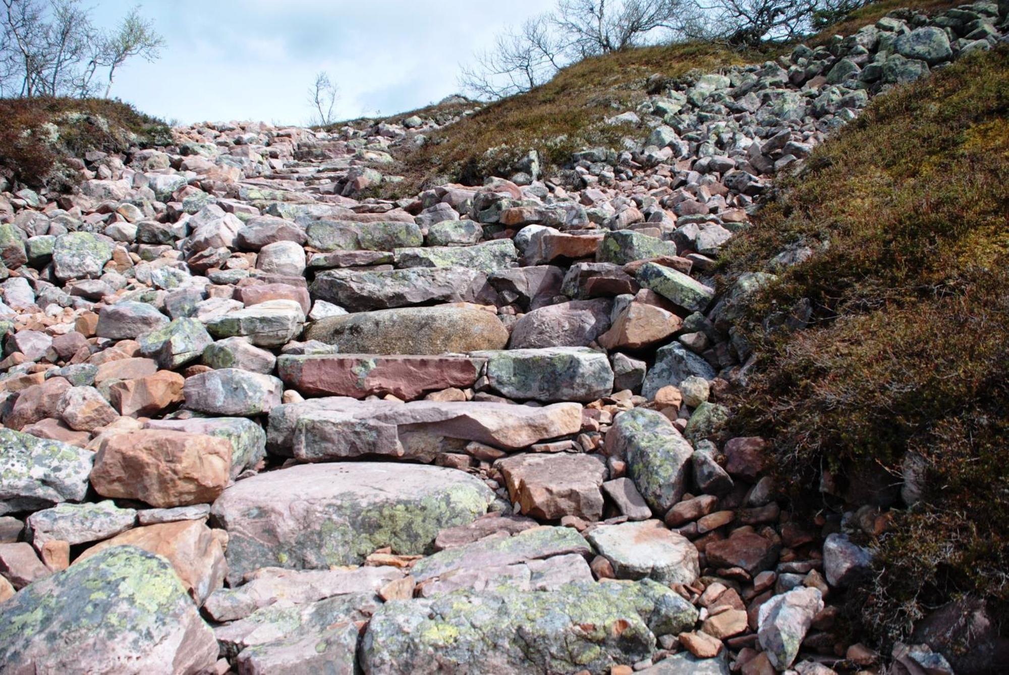 16 - Fulufjellets Nasjonalparker - Natur-, Dyre- Og Fugleopplevelser Ljørdal Dış mekan fotoğraf