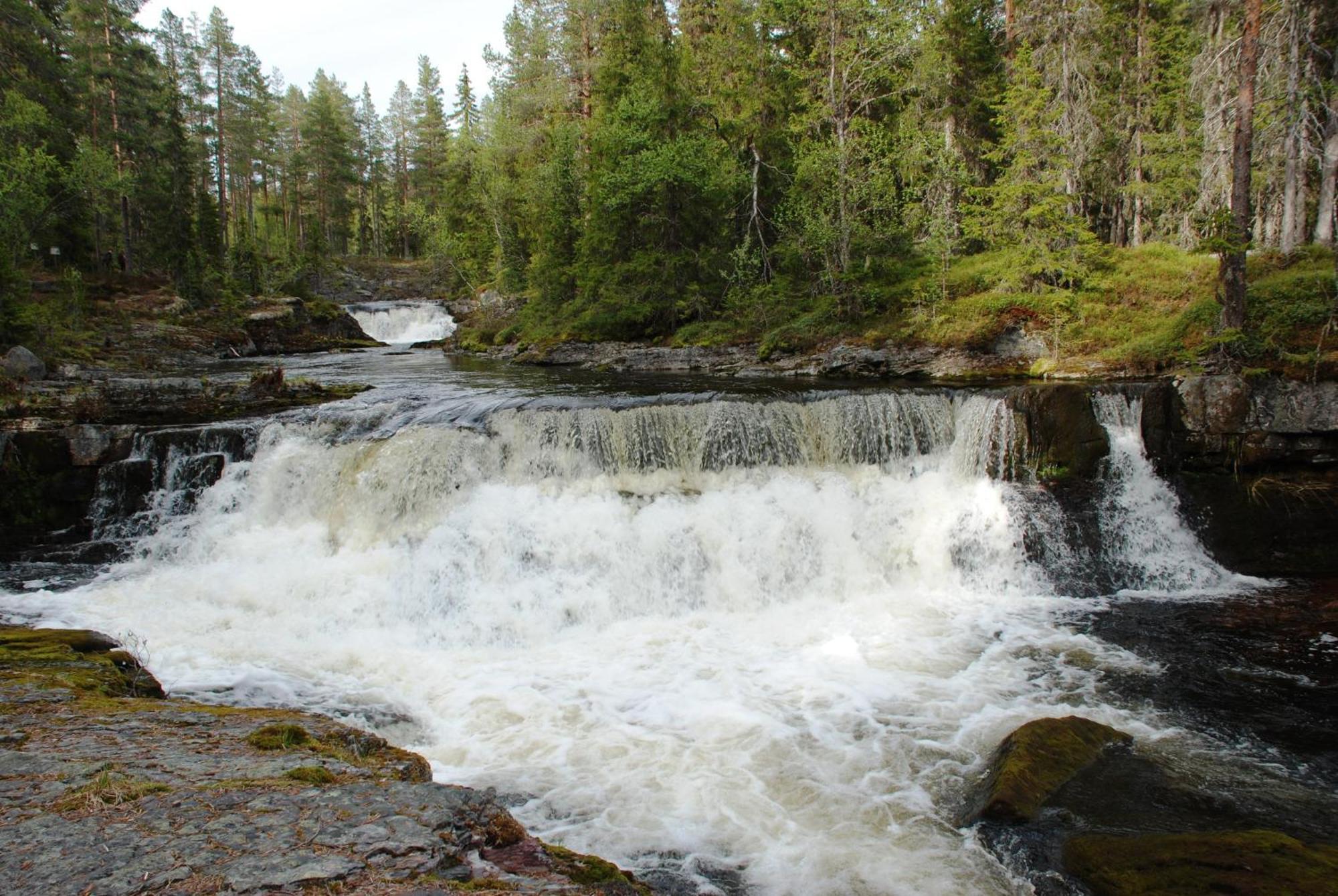 16 - Fulufjellets Nasjonalparker - Natur-, Dyre- Og Fugleopplevelser Ljørdal Dış mekan fotoğraf