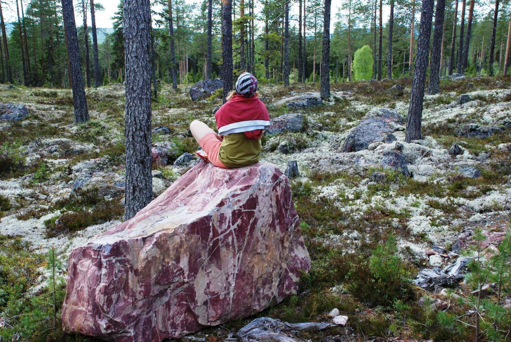 16 - Fulufjellets Nasjonalparker - Natur-, Dyre- Og Fugleopplevelser Ljørdal Dış mekan fotoğraf